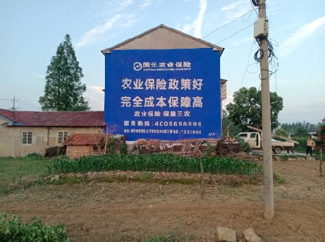 平湖墙体广告为何受追捧？